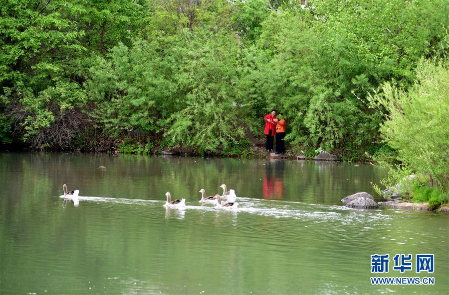 （在習(xí)近平新時代中國特色社會主義思想指引下&mdash;&mdash;新時代新作為新篇章&middot;圖文互動）（4）在這里，遇見&ldquo;詩和遠(yuǎn)方&rdquo;&mdash;&mdash;長白山下&ldquo;第一鎮(zhèn)&rdquo;的全域旅游實踐