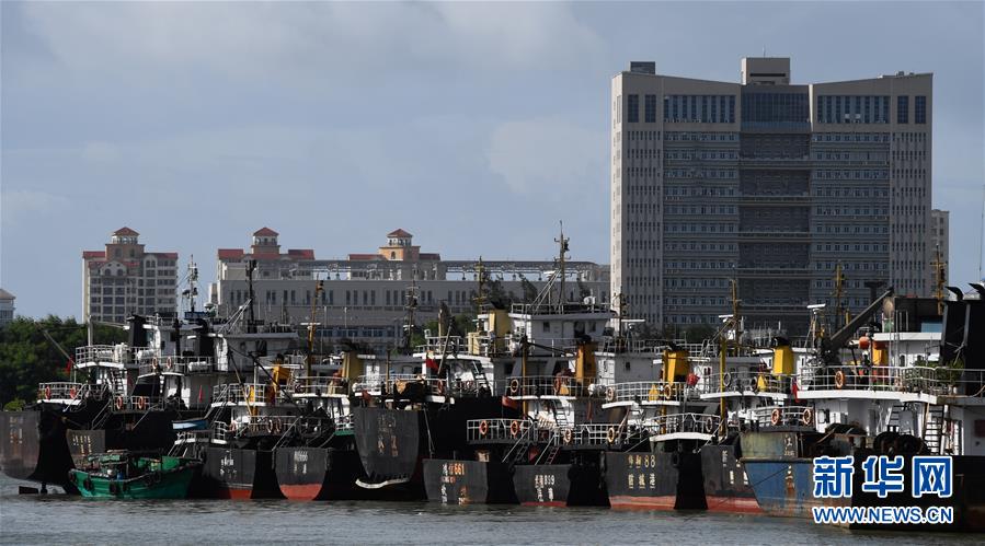 （社會(huì)）（1）?？冢捍盎馗郾芘_(tái)風(fēng)