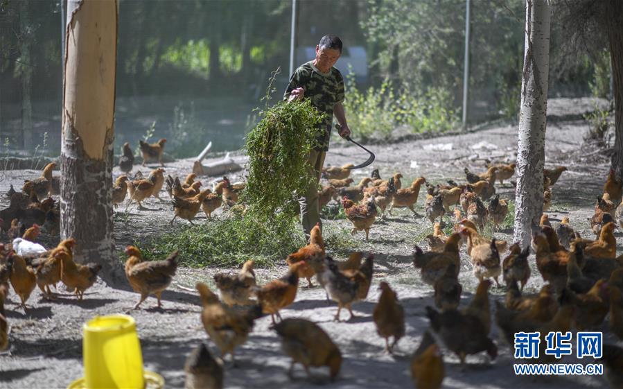 （新華全媒頭條&middot;圖文互動）（6）同心援疆，&ldquo;壯闊&rdquo;祖國西北角