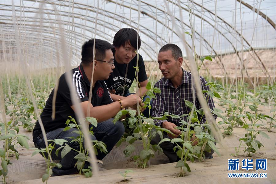 （新華全媒頭條&middot;圖文互動）（10）同心援疆，&ldquo;壯闊&rdquo;祖國西北角