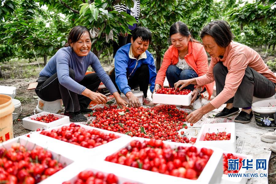 (在習(xí)近平新時(shí)代中國特色社會主義思想指引下——新時(shí)代新作為新篇章·圖文互動)(2)中條山下綠意濃——一個(gè)“資源窮縣”的生態(tài)發(fā)展之路