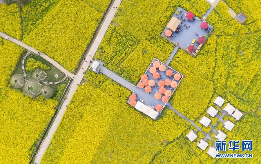 （壯麗70年&middot;奮斗新時代&mdash;&mdash;共和國發(fā)展成就巡禮&middot;圖文互動）（13）治蜀往事激越 興川今朝豪邁&mdash;&mdash;新中國成立70年四川發(fā)展巡禮