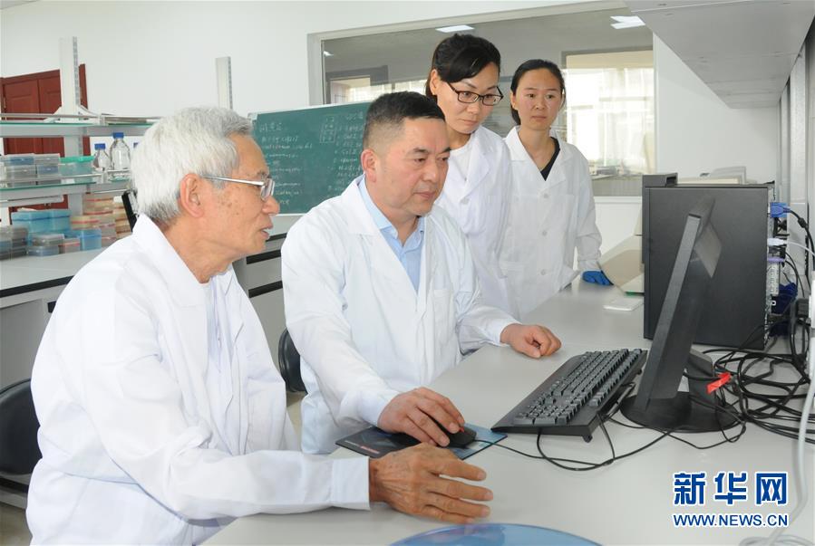 （愛國情 奮斗者&middot;圖片互動）（1）張永平：像打造&ldquo;中國芯&rdquo;一樣打造&ldquo;中國葵&rdquo;