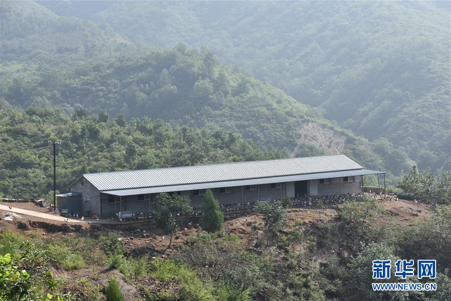 （圖文互動）（2）&ldquo;退休創(chuàng)客&rdquo;的山鄉(xiāng)致富&ldquo;合作社&rdquo;