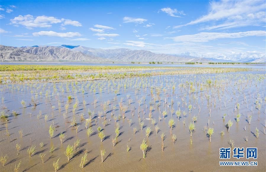 （壯麗70年&middot;奮斗新時代&mdash;&mdash;共和國發(fā)展成就巡禮&middot;圖文互動）（9）人間奇跡在高原&mdash;&mdash;新中國成立70年西藏發(fā)展成就紀實