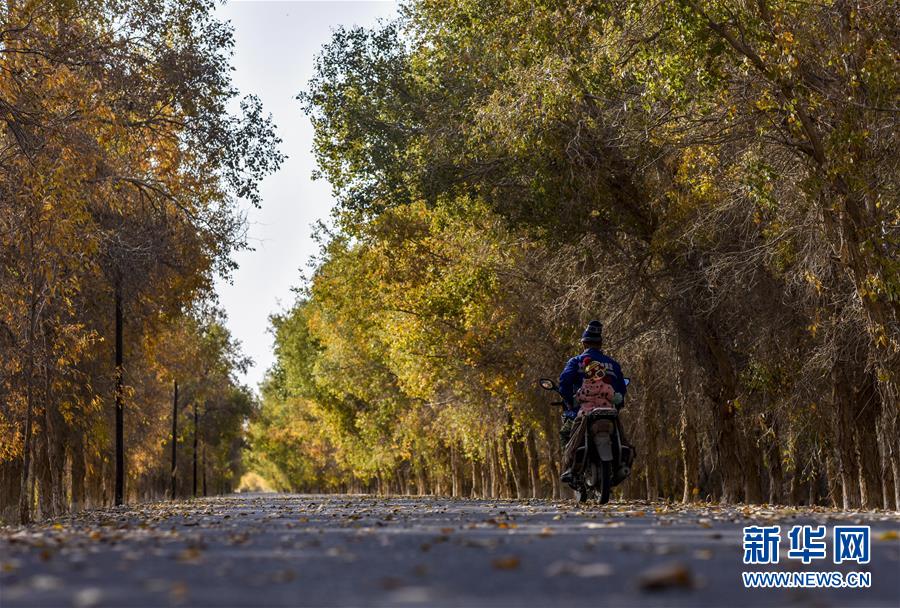 （壯麗70年&middot;奮斗新時(shí)代&mdash;&mdash;共和國(guó)發(fā)展成就巡禮&middot;圖文互動(dòng)）（2）鑄劍為犁造綠洲 安邊固疆筑&ldquo;長(zhǎng)城&rdquo;&mdash;&mdash;新疆生產(chǎn)建設(shè)兵團(tuán)維穩(wěn)戍邊改革發(fā)展紀(jì)實(shí)