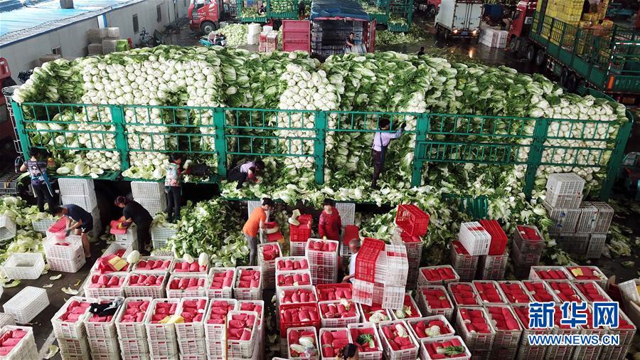 （壯麗70年&middot;奮斗新時(shí)代&mdash;&mdash;共和國發(fā)展成就巡禮）（5）看今朝齊風(fēng)魯韻　七十載芳華正勁&mdash;&mdash;新中國成立以來山東領(lǐng)先發(fā)展紀(jì)實(shí)