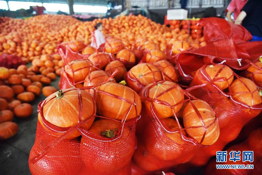 （壯麗70年&middot;奮斗新時(shí)代&mdash;&mdash;共和國發(fā)展成就巡禮）（6）看今朝齊風(fēng)魯韻　七十載芳華正勁&mdash;&mdash;新中國成立以來山東領(lǐng)先發(fā)展紀(jì)實(shí)