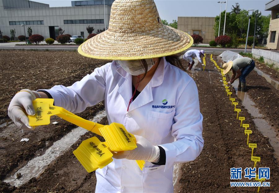 （壯麗70年&middot;奮斗新時(shí)代&mdash;&mdash;共和國發(fā)展成就巡禮）（10）看今朝齊風(fēng)魯韻　七十載芳華正勁&mdash;&mdash;新中國成立以來山東領(lǐng)先發(fā)展紀(jì)實(shí)