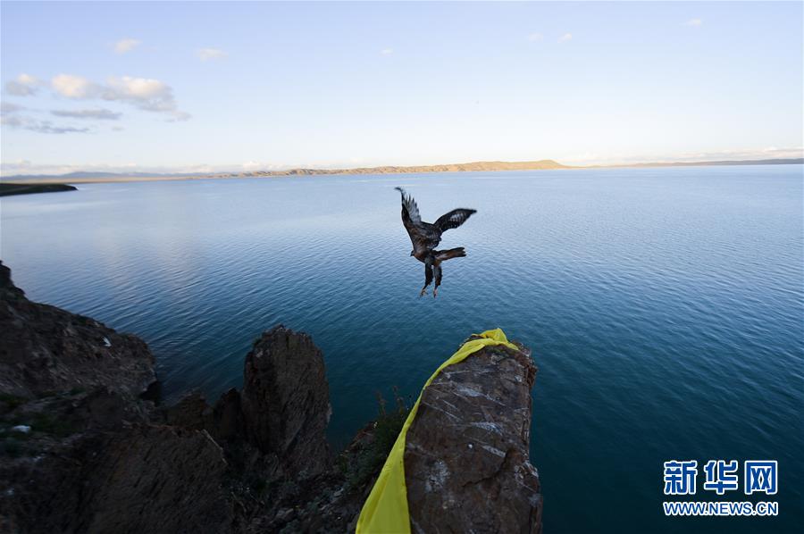 （今日關(guān)注&middot;第一屆國(guó)家公園論壇&middot;圖文互動(dòng)）（2）首個(gè)國(guó)家公園什么樣？專家?guī)阆?ldquo;睹&rdquo;為快