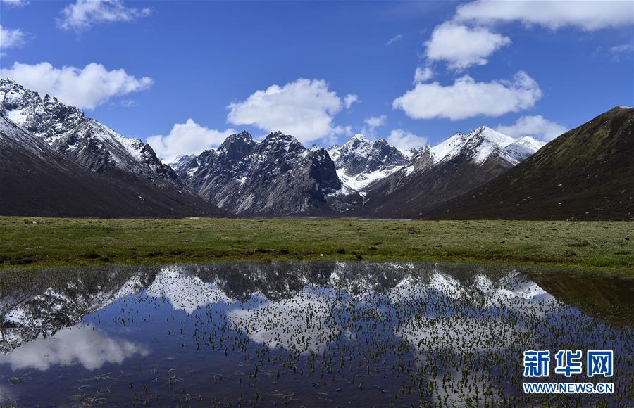 （今日關(guān)注&middot;第一屆國(guó)家公園論壇&middot;圖文互動(dòng)）（6）首個(gè)國(guó)家公園什么樣？專家?guī)阆?ldquo;睹&rdquo;為快
