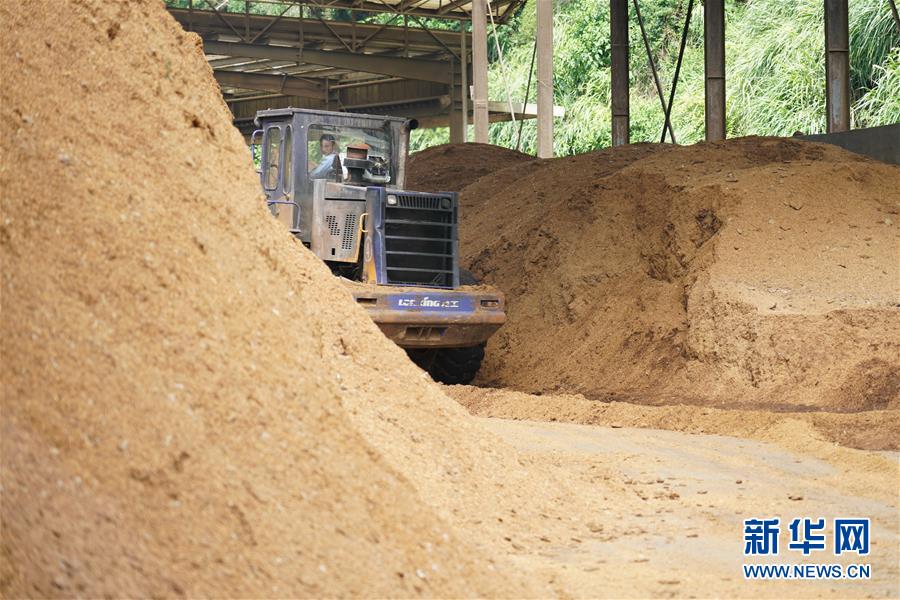 （在習近平新時代中國特色社會主義思想指引下&mdash;&mdash;新時代新作為新篇章&middot;總書記關心的百姓身邊事&middot;圖文互動）（4）大污染變身&ldquo;大寶藏&rdquo;：治理畜禽糞污，他們這樣干！