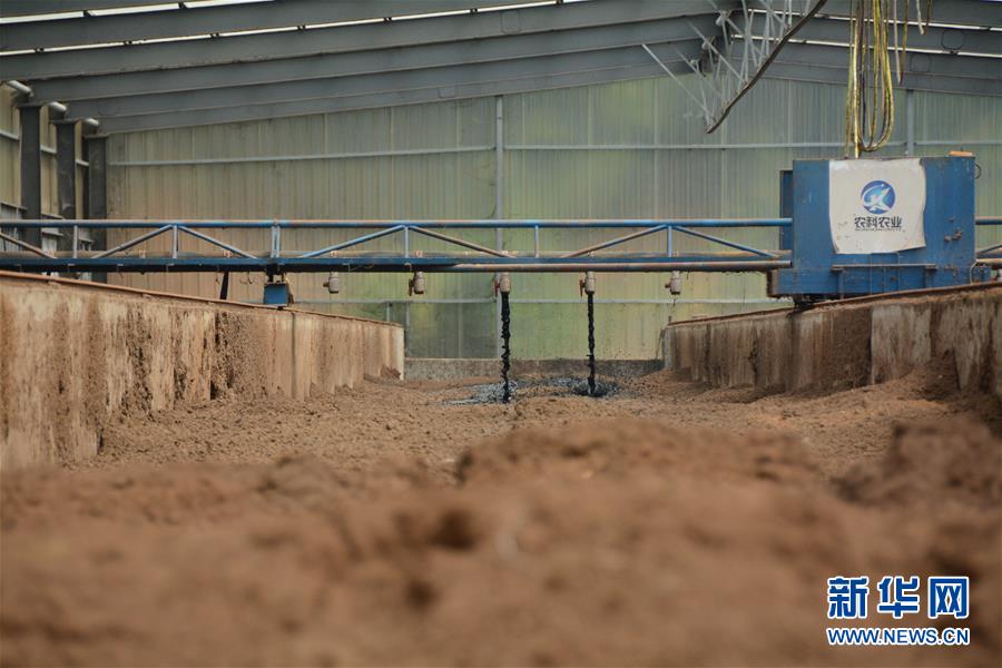 （在習近平新時代中國特色社會主義思想指引下&mdash;&mdash;新時代新作為新篇章&middot;總書記關心的百姓身邊事&middot;圖文互動）（5）大污染變身&ldquo;大寶藏&rdquo;：治理畜禽糞污，他們這樣干！