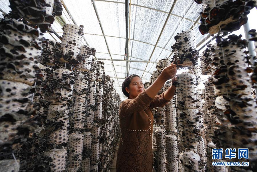 （新華全媒頭條&middot;決戰(zhàn)決勝脫貧攻堅&middot;圖文互動）（6）以沖刺的狀態(tài)跑出決勝的姿態(tài)&mdash;&mdash;&ldquo;三區(qū)三州&rdquo;甘肅深貧區(qū)脫貧攻堅報告