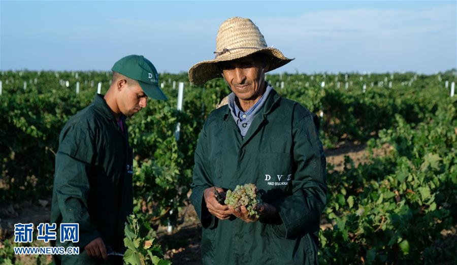 (新華全媒頭條·圖文互動(dòng))(9)攜手鑄就非凡夢(mèng)想——寫在習(xí)近平主席提出構(gòu)建更加緊密的中非命運(yùn)共同體一周年之際