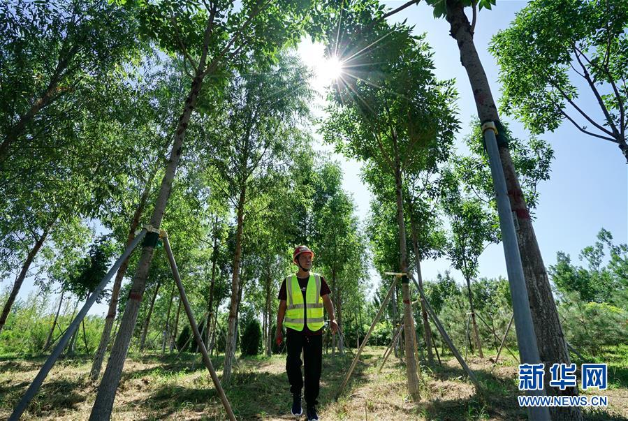 （壯麗70年&middot;奮斗新時代&middot;重溫囑托看變化&middot;圖文互動）（1）雄安新區(qū)：錨定高質(zhì)量發(fā)展　奮力書寫新時代答卷