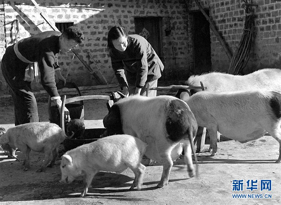 （紅土地&ldquo;往事新說&rdquo;&middot;圖文互動）（5）萬里征途為初心　夫妻接力踐使命