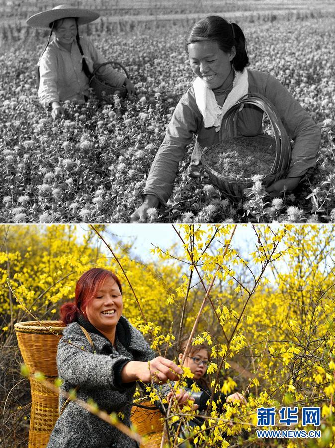 （壯麗70年&middot;奮斗新時(shí)代）（3）70年時(shí)光流影 70行見證發(fā)展