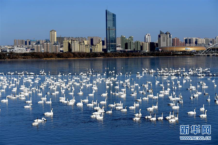 （新華全媒頭條&middot;圖文互動）（14）中國道路越走越寬廣&mdash;&mdash;社會主義中國實踐啟示錄