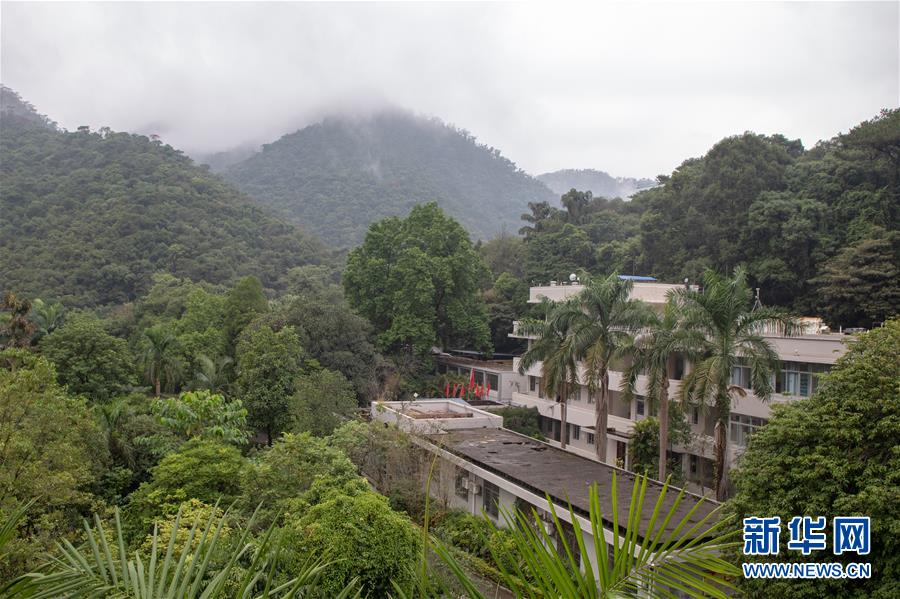 （圖文互動）（3）科學(xué)接續(xù)保護 守住生態(tài)紅線&mdash;&mdash;探訪&ldquo;北回歸沙漠帶上的綠色明珠&rdquo;