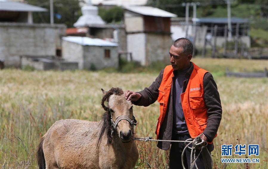 (新華全媒頭條·決戰(zhàn)決勝脫貧攻堅·圖文互動)(4)為了人與自然和諧共生——云南“三江并流”地區(qū)決戰(zhàn)精準(zhǔn)脫貧的“生態(tài)畫卷”
