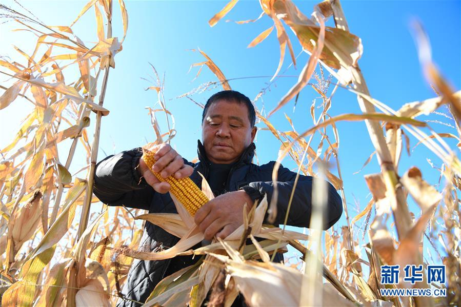 （在習(xí)近平新時(shí)代中國特色社會(huì)主義思想指引下&mdash;&mdash;新時(shí)代新作為新篇章&middot;總書記關(guān)心的百姓身邊事&middot;圖文互動(dòng)）（3）一本&ldquo;村官&rdquo;日記里的扶貧路&mdash;&mdash;小故事里的大情懷之四