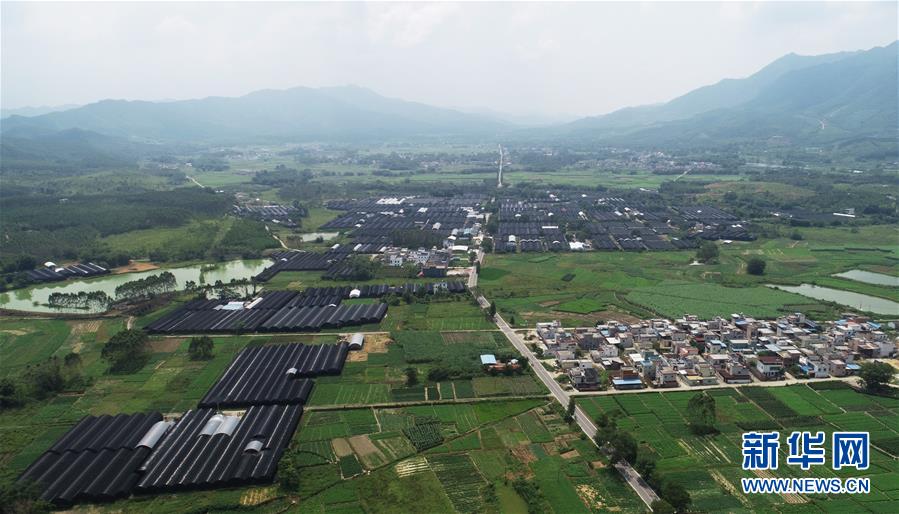 （在習(xí)近平新時代中國特色社會主義思想指引下&mdash;&mdash;新時代新作為新篇章&middot;總書記關(guān)心的百姓身邊事&middot;圖文互動）（1）&ldquo;科技秀才&rdquo;給田野帶來新希望