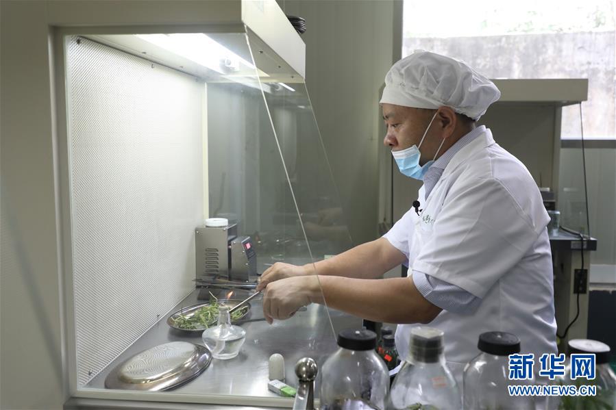 （在習(xí)近平新時代中國特色社會主義思想指引下&mdash;&mdash;新時代新作為新篇章&middot;總書記關(guān)心的百姓身邊事&middot;圖文互動）（5）&ldquo;科技秀才&rdquo;給田野帶來新希望