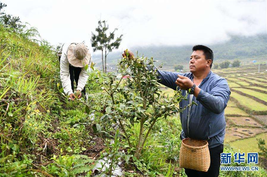 （新華全媒頭條&middot;圖文互動）（6）遠(yuǎn)去的馬幫&mdash;&mdash;&ldquo;蓮花秘境&rdquo;墨脫告別&ldquo;高原孤島&rdquo;之路