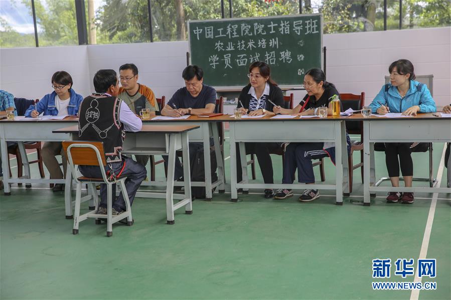 （新華全媒頭條&middot;時(shí)代先鋒&middot;圖文互動(dòng)）（4）&ldquo;要把論文寫在大地上&rdquo;&mdash;&mdash;記&ldquo;農(nóng)民院士&rdquo;朱有勇