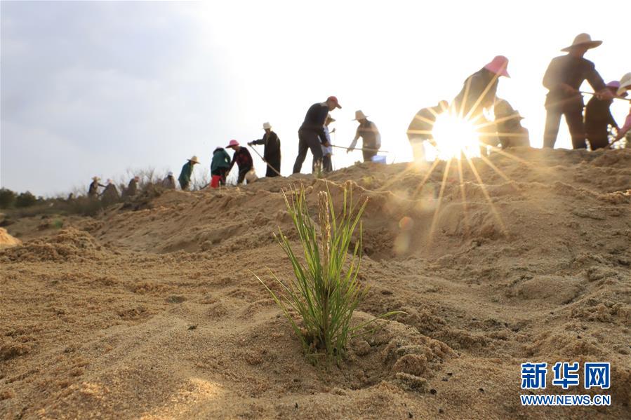 （在習(xí)近平新時(shí)代中國(guó)特色社會(huì)主義思想指引下&mdash;&mdash;新時(shí)代新作為新篇章&middot;總書(shū)記關(guān)切高質(zhì)量發(fā)展&middot;圖文互動(dòng)）（4）在藍(lán)天白云下&mdash;&mdash;污染防治攻堅(jiān)戰(zhàn)持續(xù)推進(jìn)