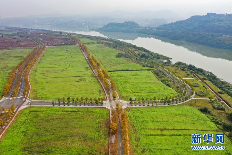 （四中全會精神在基層&middot;圖文互動）（2）一江碧水串起綠色島鏈&mdash;&mdash;重慶江心島&ldquo;生態(tài)留白&rdquo;調(diào)查