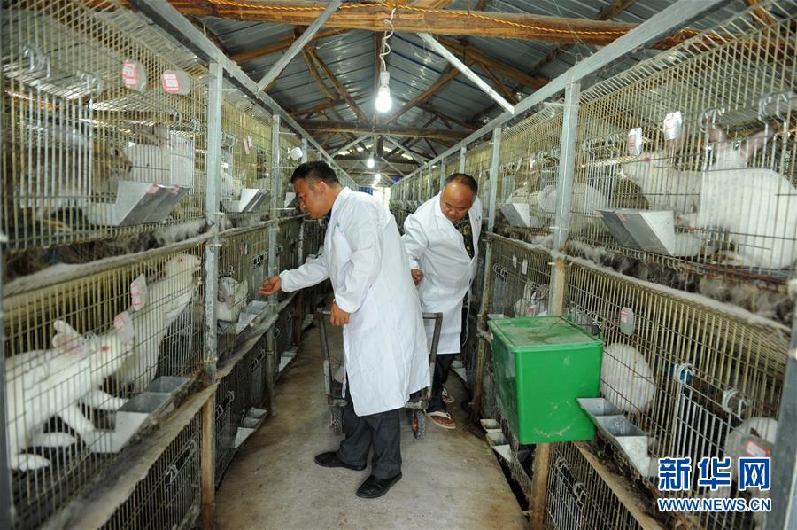 （新華全媒頭條&middot;圖文互動(dòng)）（4）干部去哪兒了？&mdash;&mdash;貴州干部大規(guī)模下沉脫貧攻堅(jiān)一線紀(jì)實(shí)