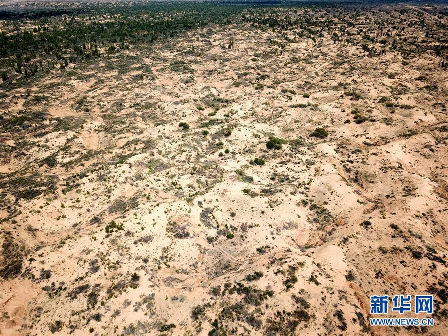 （圖文互動）（2）陜西榆林毀林建光伏電站追蹤：還有哪些疑團(tuán)有待破解？ 