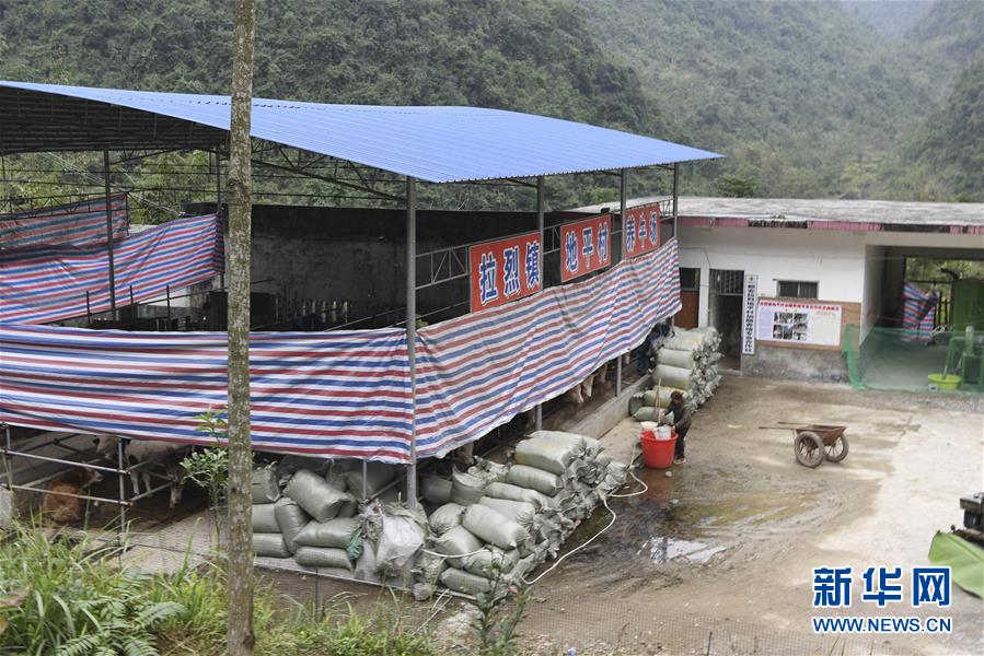 （脫貧攻堅(jiān)&middot;圖文互動(dòng)）（2）為了不讓一個(gè)貧困戶落下&mdash;&mdash;追記廣西都安縣駐村第一書記黃景教