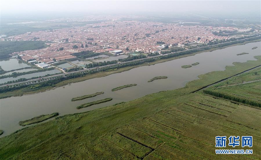 （新華全媒頭條&middot;兩會(huì)特別報(bào)道&middot;圖文互動(dòng)）（8）開拓更加寬廣的高質(zhì)量發(fā)展前景&mdash;&mdash;從全國兩會(huì)看奮進(jìn)中國的堅(jiān)定步伐