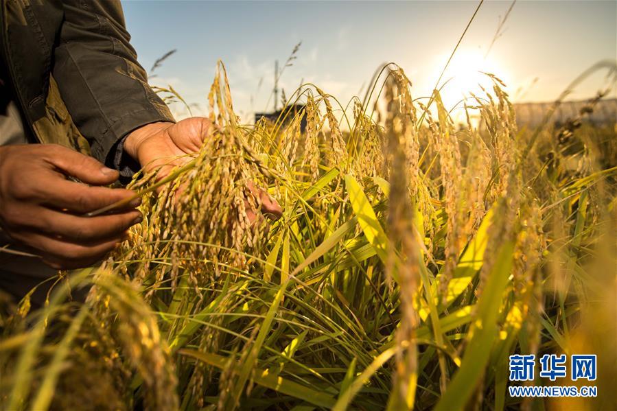 （新華全媒頭條&middot;圖文互動）（5）上下同心再出發(fā)&mdash;&mdash;習(xí)近平總書記同出席2019年全國兩會人大代表、政協(xié)委員共商國是紀(jì)實