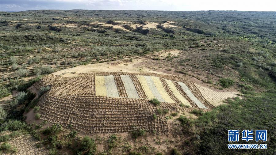 (在習近平新時代中國特色社會主義思想指引下——新時代新作為新篇章·總書記關切高質(zhì)量發(fā)展·圖文互動)(1)從一粒沙看不斷擴大的中國綠色版圖