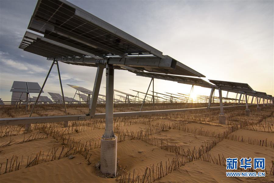 (在習近平新時代中國特色社會主義思想指引下——新時代新作為新篇章·總書記關切高質(zhì)量發(fā)展·圖文互動)(4)從一粒沙看不斷擴大的中國綠色版圖