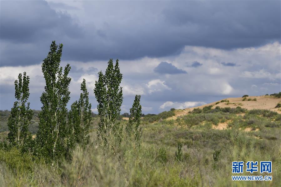 (在習近平新時代中國特色社會主義思想指引下——新時代新作為新篇章·總書記關切高質(zhì)量發(fā)展·圖文互動)(2)從一粒沙看不斷擴大的中國綠色版圖