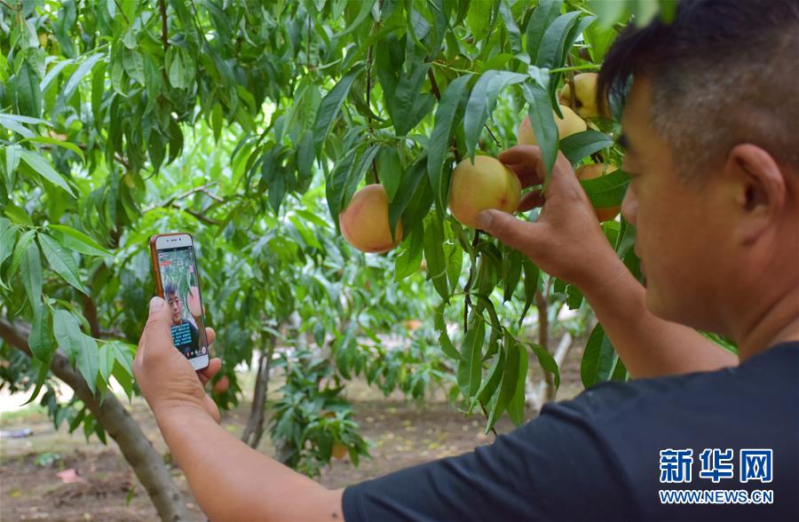 （在習(xí)近平新時代中國特色社會主義思想指引下&mdash;&mdash;新時代新作為新篇章&middot;總書記關(guān)切脫貧事&middot;決勝貧困&middot;圖文互動）（6）讓一方水土&ldquo;富養(yǎng)&rdquo;一方人&mdash;&mdash;扶貧特色產(chǎn)業(yè)惠及千家萬戶