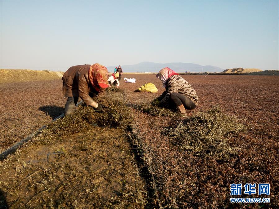 （圖文互動(dòng)）（8）從&ldquo;輕工漁網(wǎng)重工馬掌&rdquo;到&ldquo;圓夢小康&rdquo;&mdash;&mdash;&ldquo;中國東極&rdquo;脫貧攻堅(jiān)剪影
