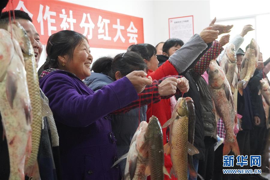 （新春走基層&middot;圖文互動）（3）&ldquo;空殼村&rdquo;分紅啦！