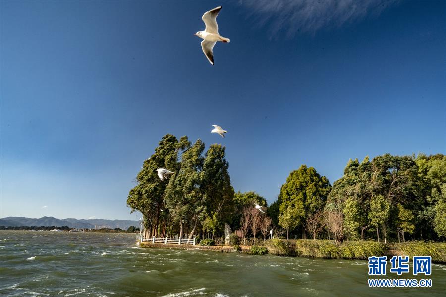 （圖文互動）（7）跨越發(fā)展起宏圖 信心滿懷著華章&mdash;&mdash;習近平總書記考察云南回訪記