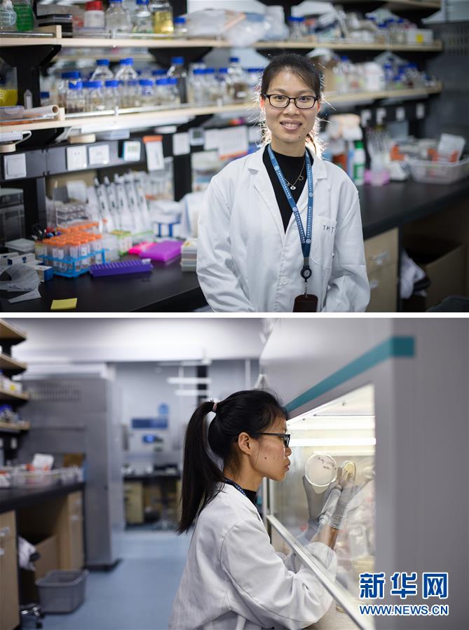 （新華全媒頭條&middot;圖文互動）（1）創(chuàng)造中華民族的偉大歷史時(shí)間&mdash;&mdash;寫在農(nóng)歷庚子鼠年春節(jié)到來之際 