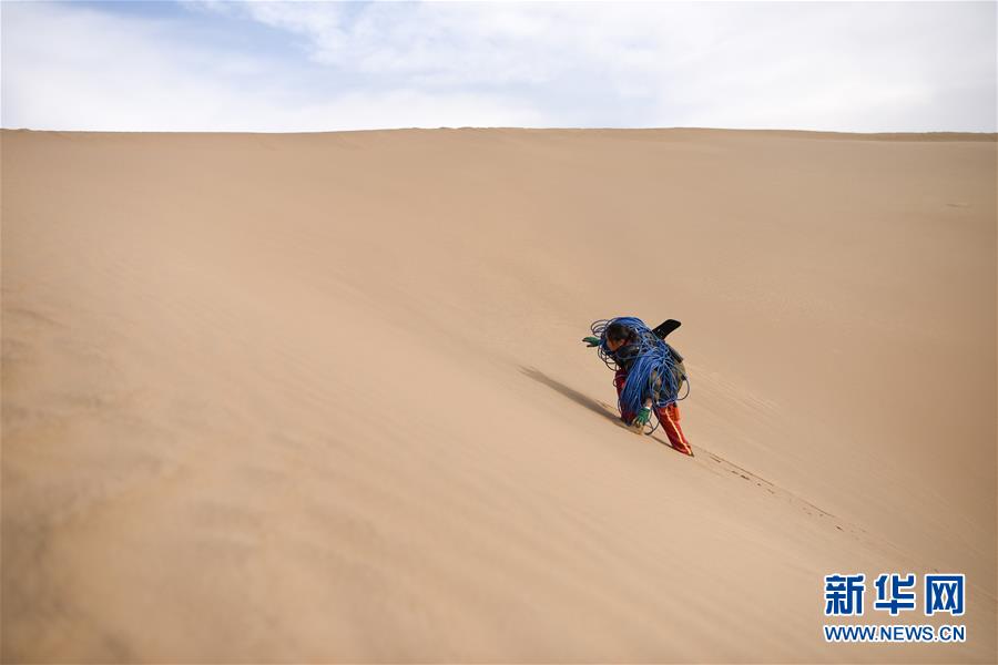 （新春走基層&middot;圖文互動）（3）寒冬里，&ldquo;沙漠玫瑰&rdquo;猶自綻放