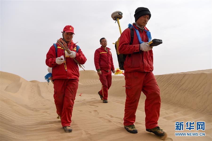 （新春走基層&middot;圖文互動）（14）寒冬里，&ldquo;沙漠玫瑰&rdquo;猶自綻放