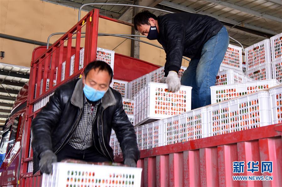 （聚焦疫情防控&middot;圖文互動(dòng)）（5）吃的東西充足，做點(diǎn)花樣菜吧！&mdash;&mdash;中部地區(qū)最大農(nóng)產(chǎn)品批發(fā)市場(chǎng)見(jiàn)聞 