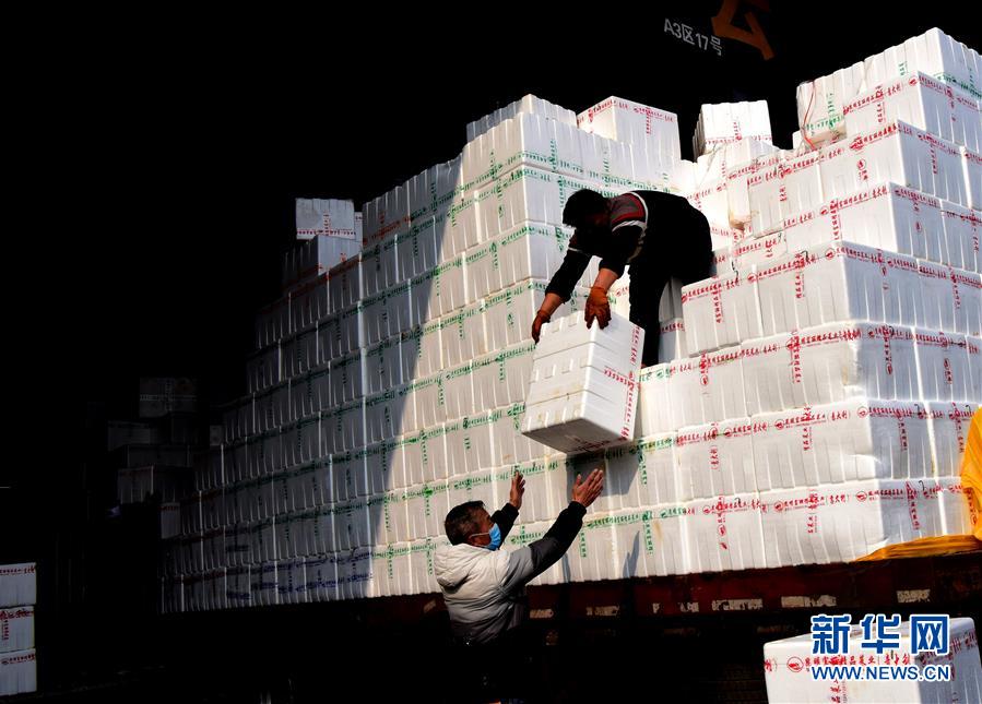 （聚焦疫情防控&middot;圖文互動(dòng)）（4）吃的東西充足，做點(diǎn)花樣菜吧！&mdash;&mdash;中部地區(qū)最大農(nóng)產(chǎn)品批發(fā)市場(chǎng)見(jiàn)聞 