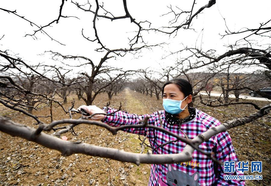 （聚焦疫情防控&middot;圖文互動）（3）農(nóng)民工返城：幾多憧憬幾許等待&mdash;&mdash;走進疫情下的河北勞務(wù)輸出專業(yè)村